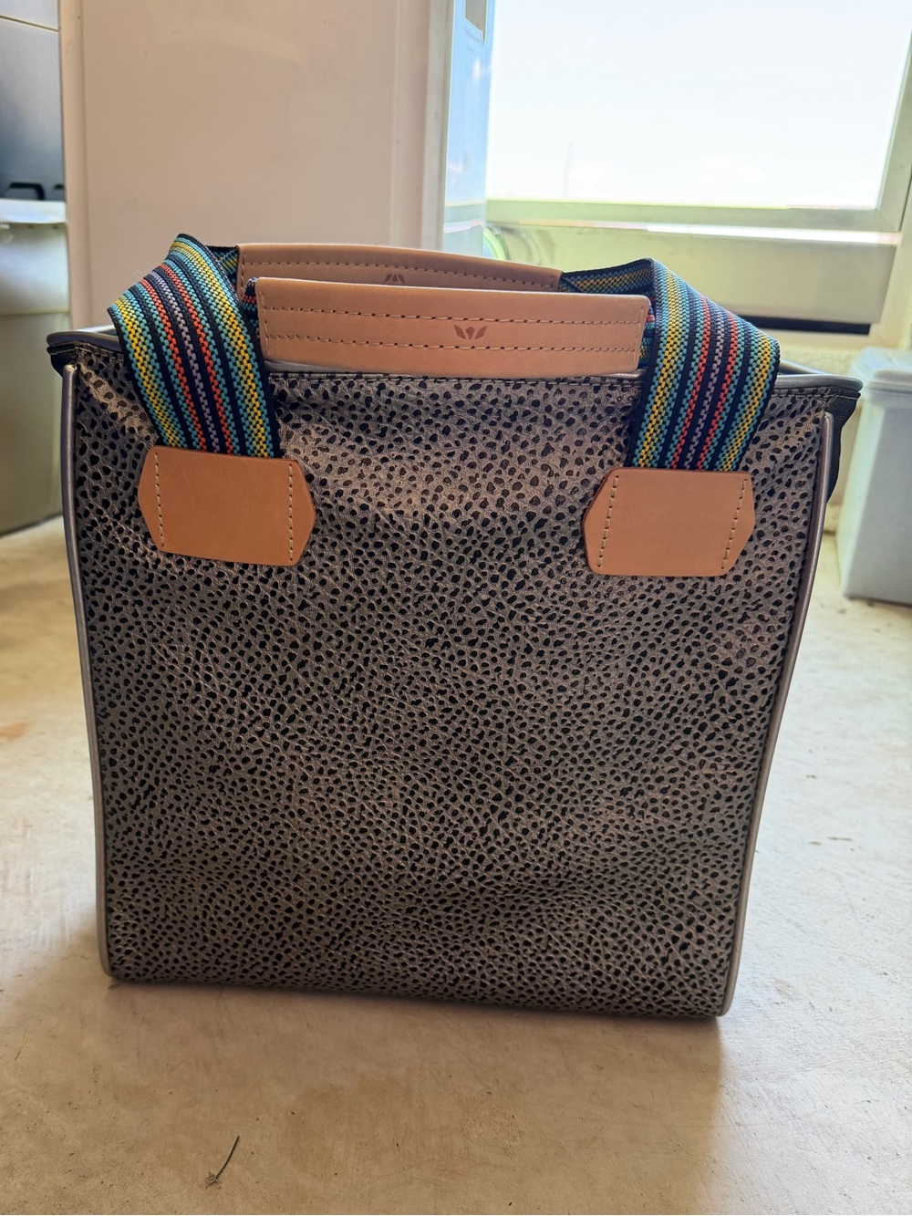 Consuela Gray Textured Tote with Multicolor Striped Strap